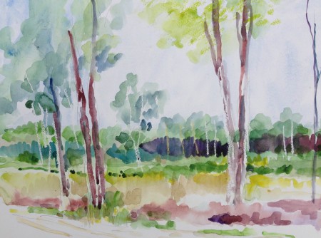 Noord-Brabant
